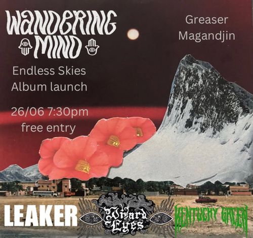 Wandering Mind 'Endless Skies' album launch | Leaker | Wizard Eyes | Kentucky Green