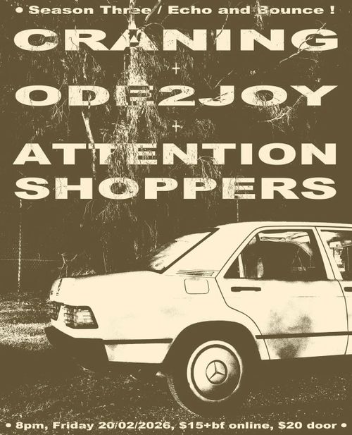 Craning, Ode2Joy, Attention Shoppers